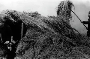 Courland: German position at the Courland bridgehead, 1944