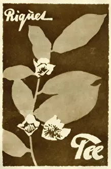 Riquet: A German poster advertising Riquet Tea