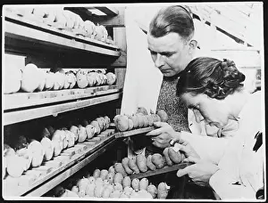 Instituted: GERMAN POTATO DOCTORS