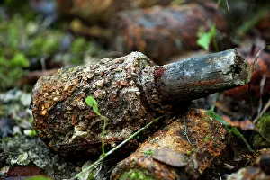 Unexploded: German potato masher grenade