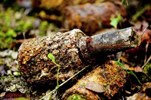 Maur: German 'potato masher' grenades