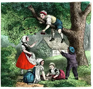 Orchard: German print - Four Seasons - Summer
