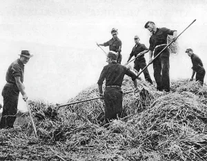 Stacking: German prisoners in Britain, 1946
