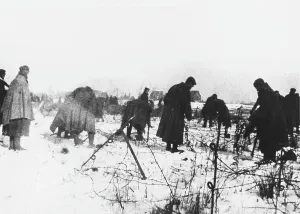Vitry: German prisoners WWI
