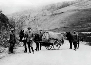Transporter: German Red cross in World War I