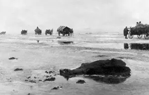 Vistula: German refugee route on the Baltic Sea