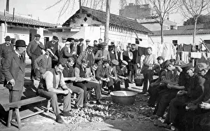 Peeling: German refugees peeling potatoes, 1915
