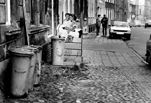 Grau: German reunification - The West arrives