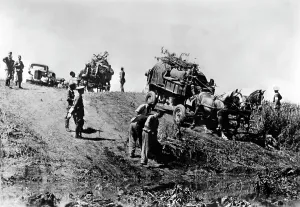 Exception: German and Romanian troops advance through Bessarabia, 1941