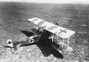 Seater: German Rumpler-Taube plane, WW1