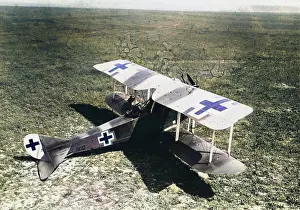 Seater: German Rumpler-Taube plane, WW1