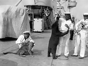Karlsruhe: German sailors with exotic animals, 1934