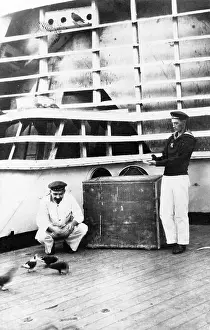 Docked: German sailors feeding pidgeons, 1916