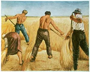 Weimar Archive: GERMAN SCYTHERS