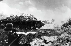 Sturmgeschuetz: German self-propelled gun on the Eastern Front, 1941