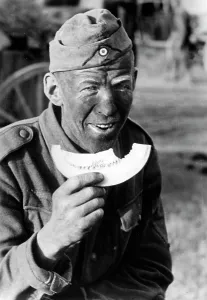 Dusty: German soldier in the Don Steppe, 1942
