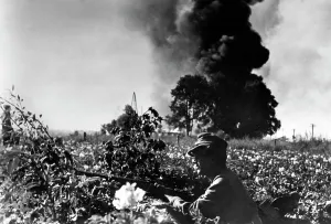 Hitting: German soldier on the Eastern Front, 1944