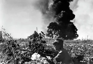 Hitting: German soldier on the Eastern Front, 1944