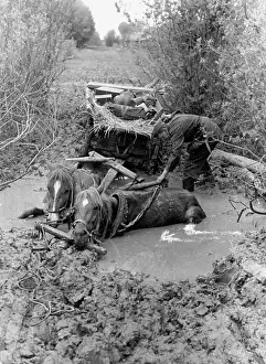 Mire: German Soldier with a Horse Carriage at the Eastern Front, 1