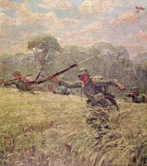 Cornfield: German soldiers advancing through cornfield, WW1