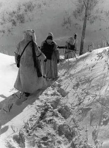 Shirts: German soldiers in the Caucasus, 1942