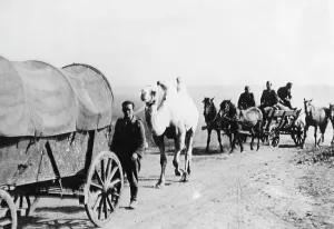 Dromedary: German soldiers in the Crimea, 1941