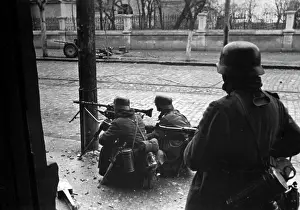 Secures: German soldiers in the Crimea, 1942