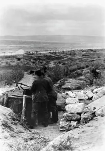 Mg34: German soldiers in the Crimea, 1943