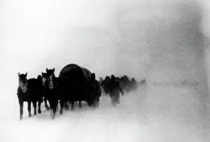 Hahle: German soldiers on the Eastern Front, 1941/42