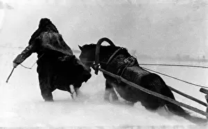Struggles: German soldiers on the Eastern Front, 1941/42