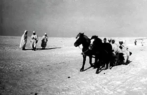 Grunwald: German soldiers on the Eastern Front, 1941/42