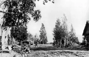 Baltics: German soldiers on the Eastern Front, 1941