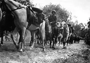 Kugelken: German soldiers on the Eastern Front, 1941