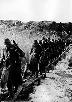Marshy: German soldiers on the Eastern Front, 1941