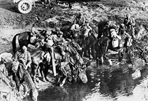 Fenske: German soldiers on the Eastern Front, 1941