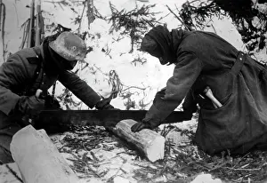 Sawing: German soldiers on the Eastern Front, 1942