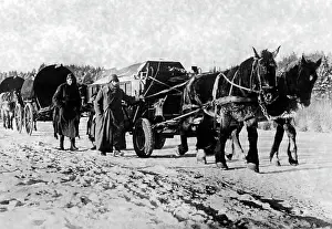 Freeze: German soldiers on the Eastern Front, 1942