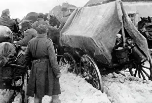 Stuck: German soldiers on the Eastern Front, 1942