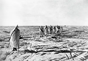 Springmann: German soldiers on the Eastern Front, 1942