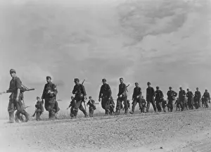 Reinforce: German soldiers on the eastern Front, 1944