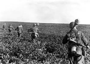 Dieck: German soldiers - Eastern Front, 1944