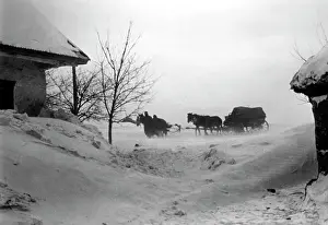 Donets: German soldiers on the Eastern Front, 19442