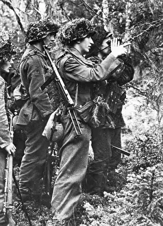Runge: German soldiers on the Eastern Front in Karelia, 1943