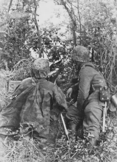 Hedge: German soldiers during fights in the Normandy, 1944