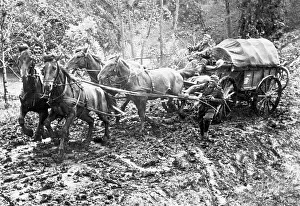 Slush: German soldiers with a horse wagon on the Eastern front, 194