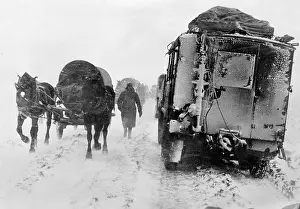 Transporter: German soldiers with horse wagons on the Eastern Front, 1941