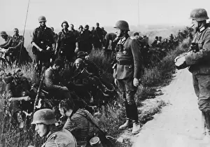 Christiani: German soldiers in the northern sector of the Eastern Front
