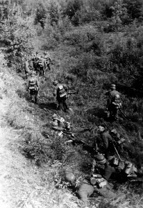 Cadvances: German soldiers in the southern section of the Eastern front