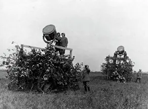 Spotlights: German spotlights at the Western Front in World War I
