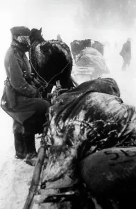 Portion: German supply, 1941